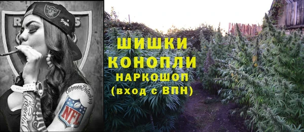 прущие грибы Краснотурьинск