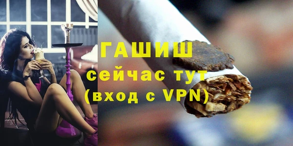 прущие грибы Гвардейск