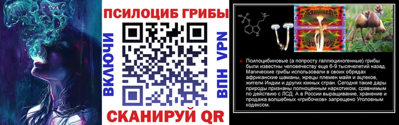 где продают   Мирный  Псилоцибиновые грибы GOLDEN TEACHER 